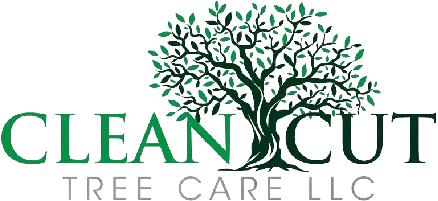 Clean Cut Tree Care LLC logo