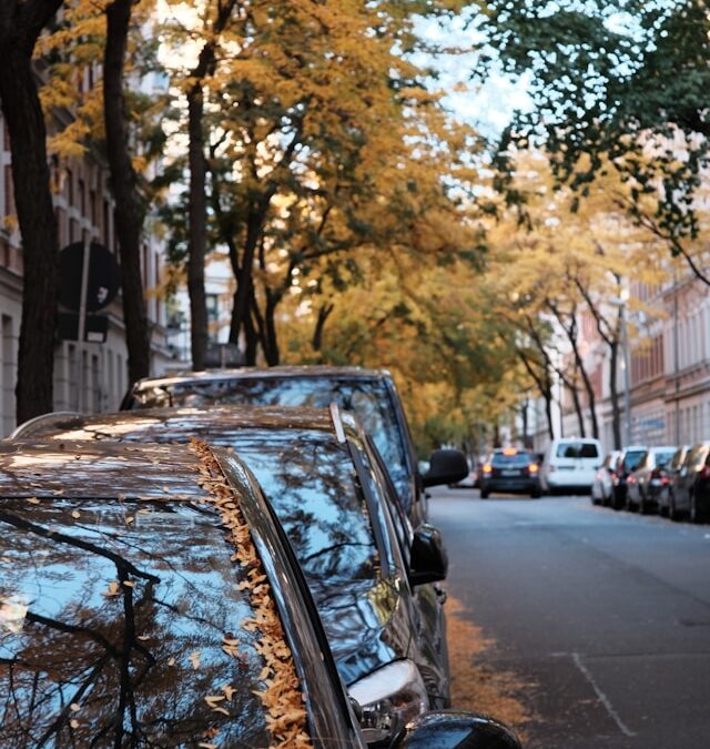 A Match not Made in Heaven:  Tree Sap and Cars